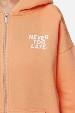 Pegador Airville Oversized Zip Hoodie Washed Apricot