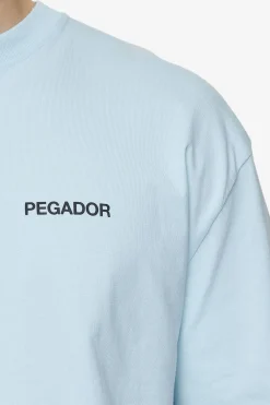 Pegador Aleso Oversized Tee