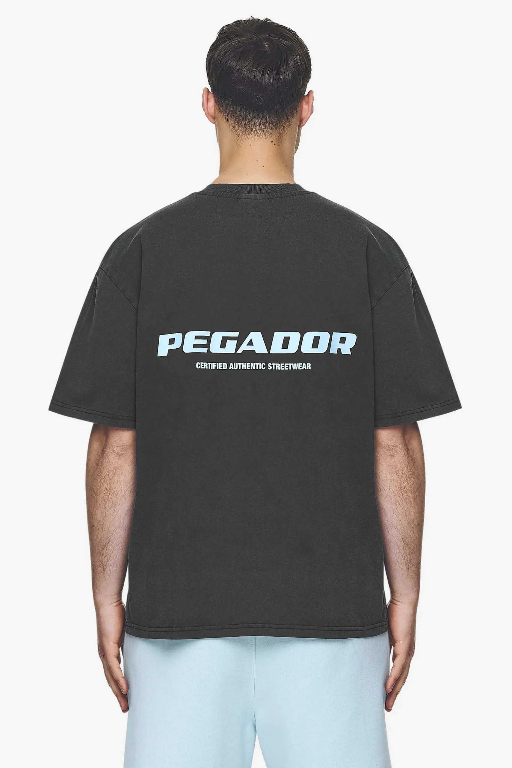 Pegador Colne Logo Oversized Tee Baby Blue