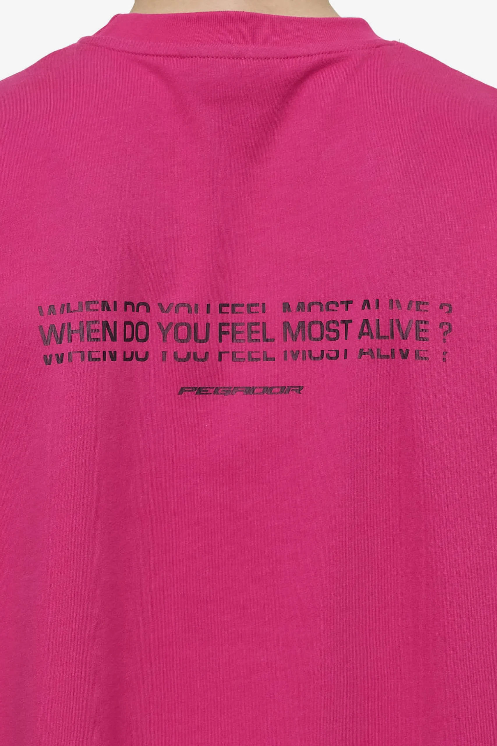 Pegador Edens Oversized Tee Washed Virtual Pink