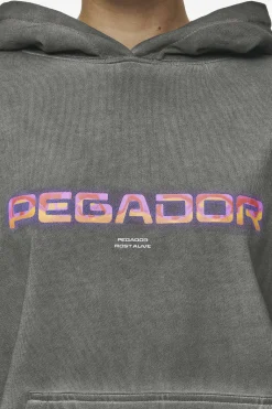 Pegador Lui Sprayed Oversized Hoodie Oil Dyed Deep Grey