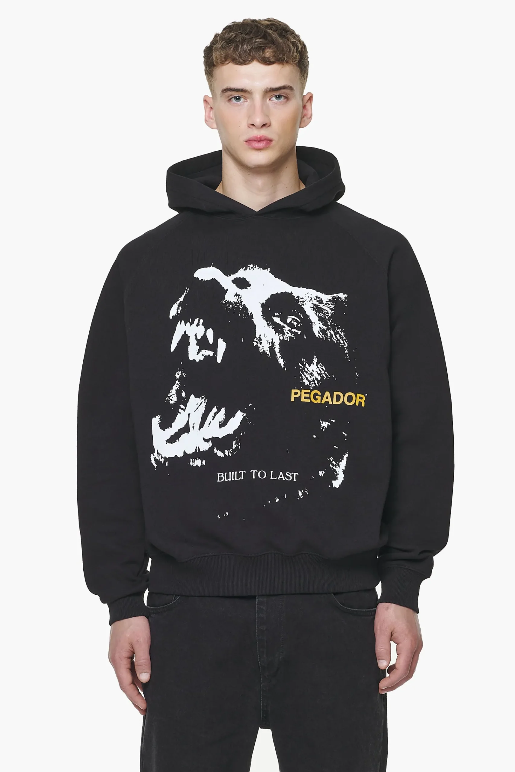 Pegador Nether Raglan Hoodie Vintage Washed Onyx Black