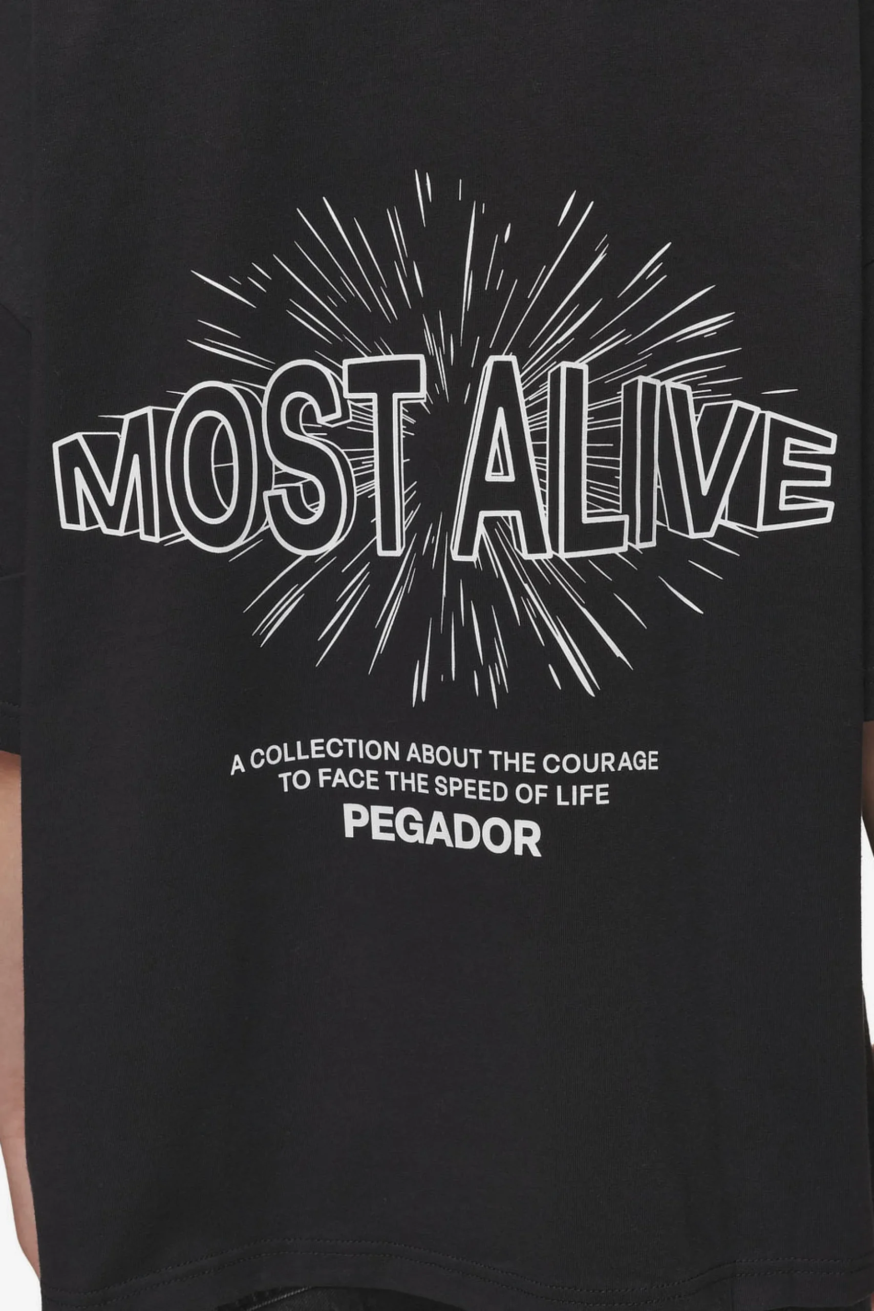 Pegador Nisa Heavy Oversized Tee Washed Black