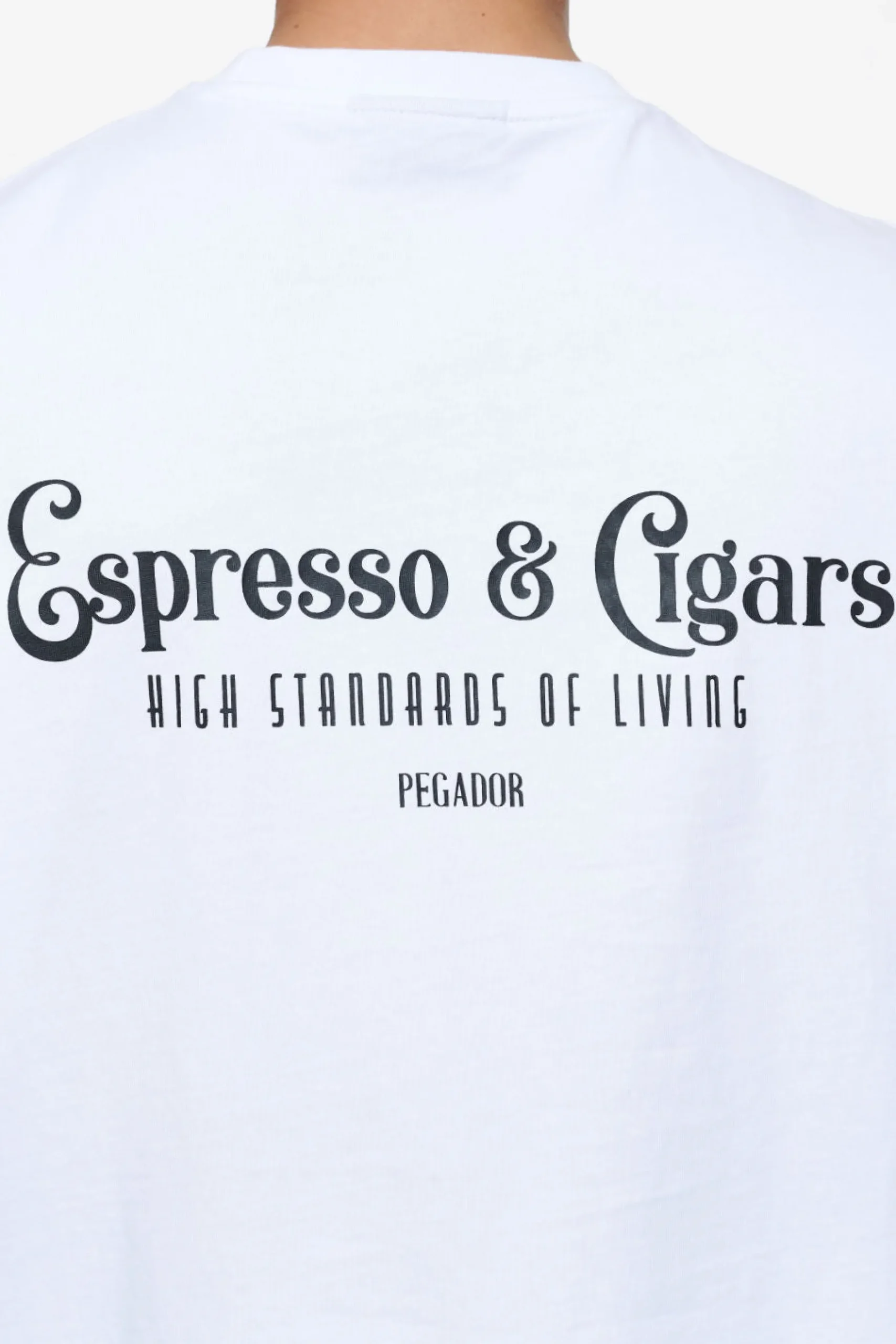 Pegador Racoon Boxy Tee