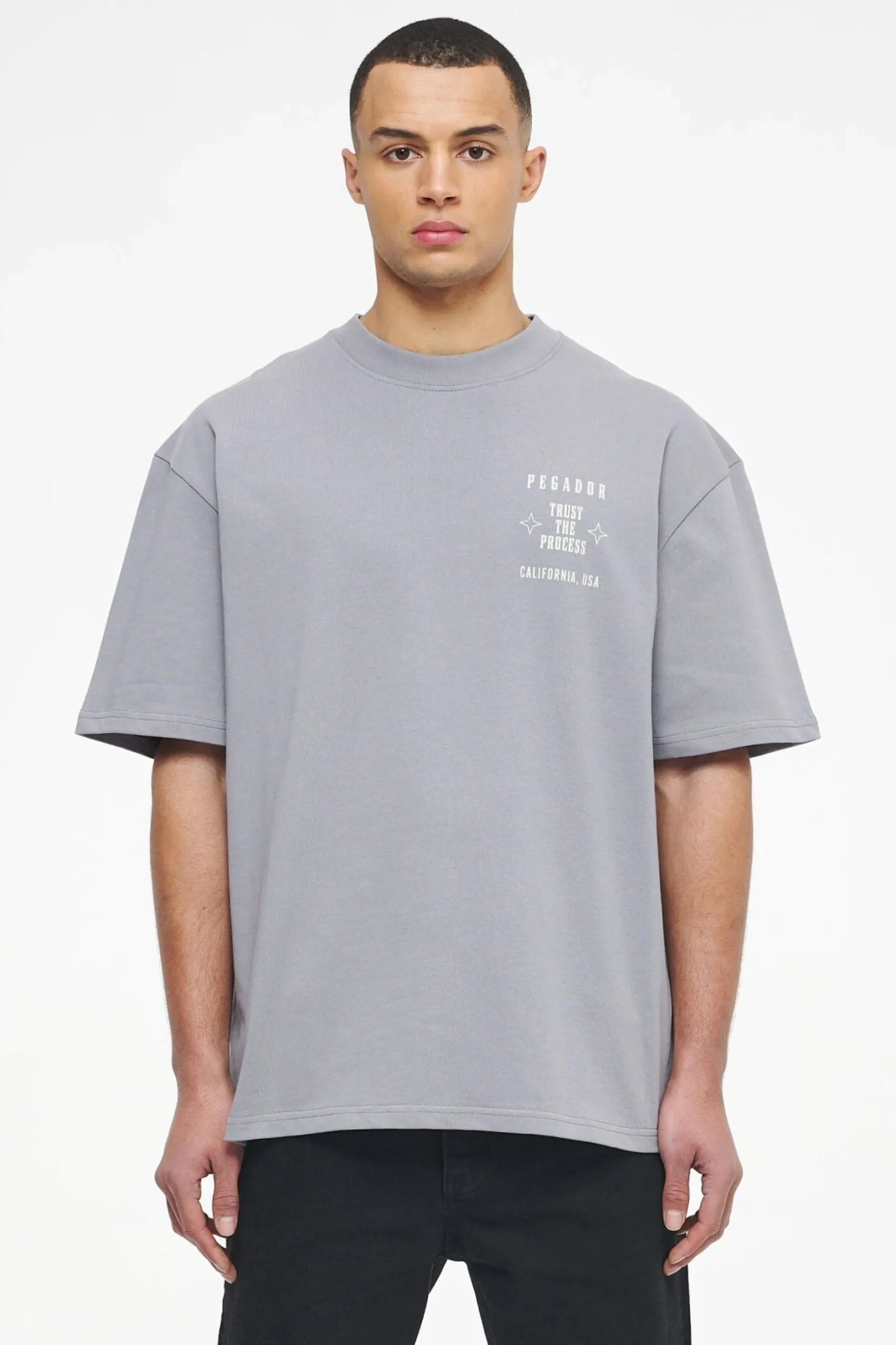 Pegador Salal Oversized Tee