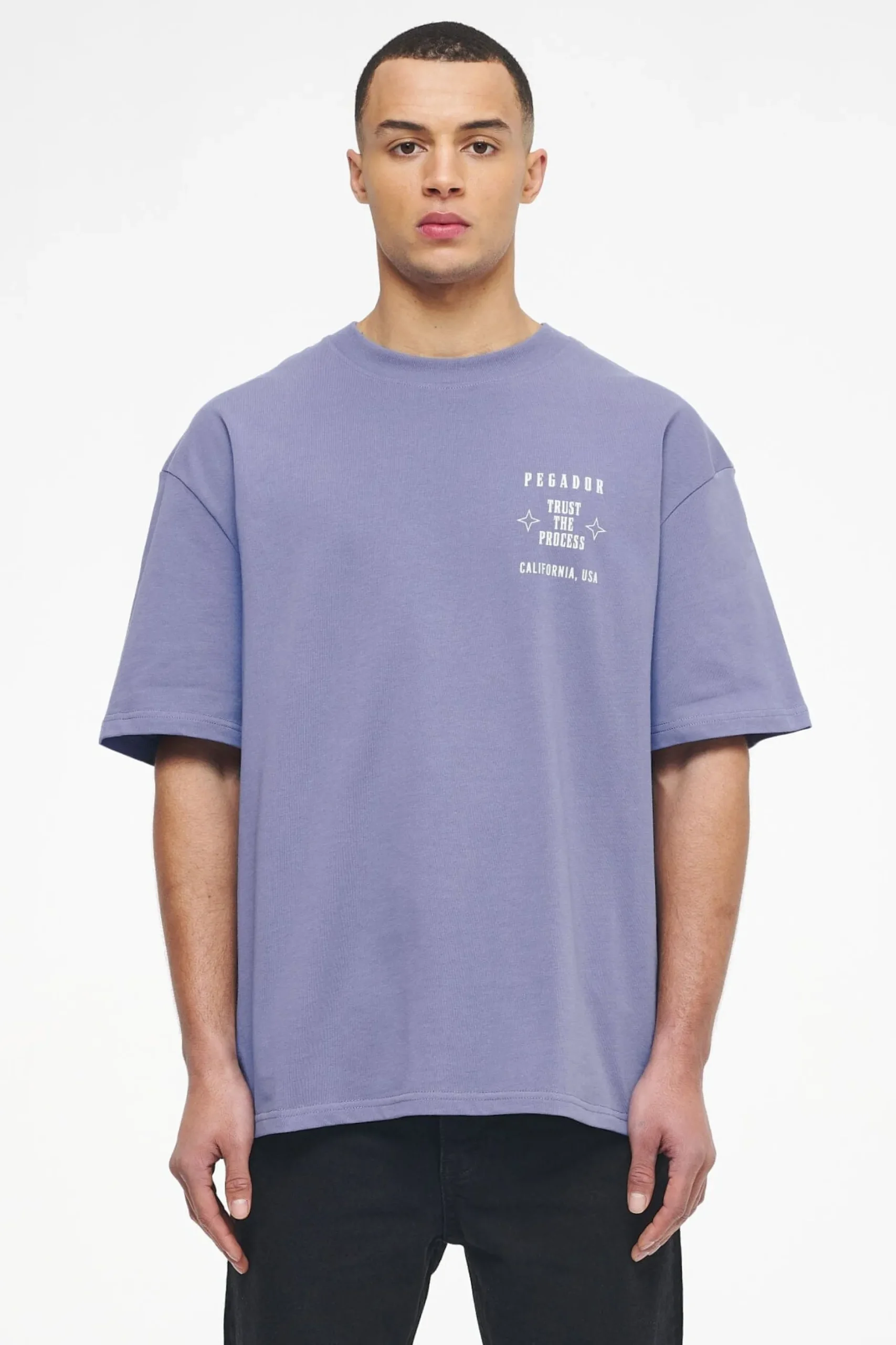 Pegador Salal Oversized Tee