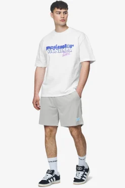 Pegador Sutro Mesh Shorts
