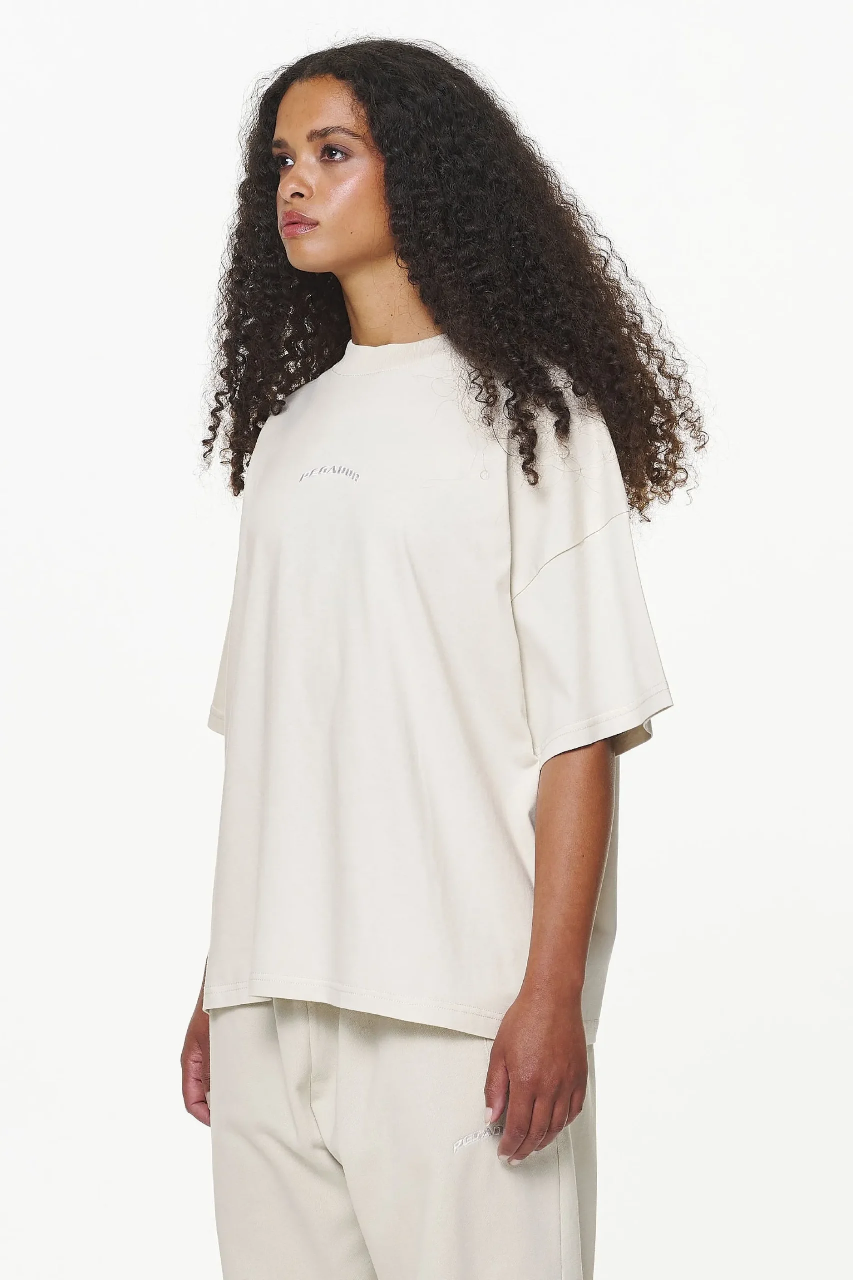 Pegador Thames Heavy Oversized Tee