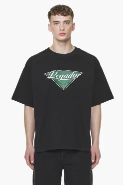 Pegador Trafford Raglan Boxy Tee Vintage Washed Onyx Black